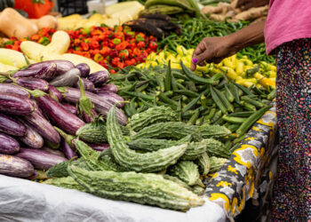 Economy grows by 10.5 percent in the second quarter 2024, consumer confidence at 43.6, consumer prices up 3.1 percent, imports down 20.2 percent, and domestic exports down 39.2 percent in August 2024